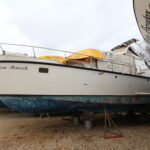 KEMPALA “AFRICAN MONARCH” – photo 25