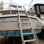 KEMPALA “AFRICAN MONARCH” – photo 28
