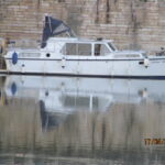 KEMPALA “AFRICAN MONARCH” – photo 2