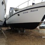 KEMPALA “AFRICAN MONARCH” – photo 26