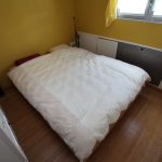 Silure – photo 17