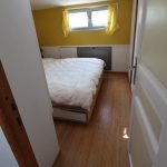 Silure – photo 16