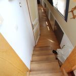 Silure – photo 13