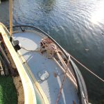 Aak “Zee Otter” – photo 34