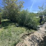 Freycinet-Frachtschiff 38,97 m BONANZA (1957) – Ufergarten mit Landsteg